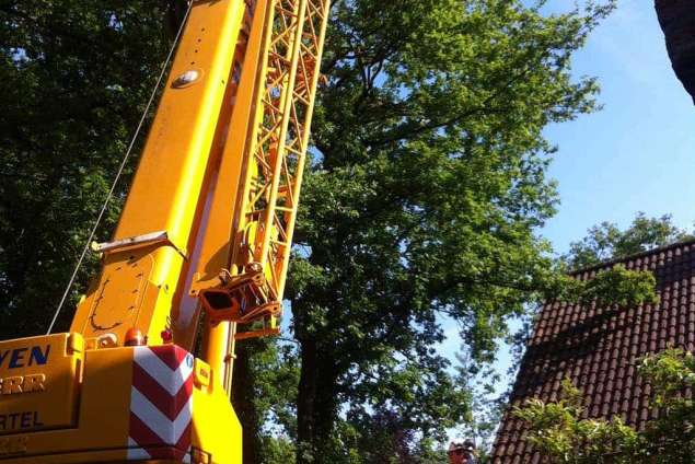 Bomen rooien 's-Heer Abtskerke